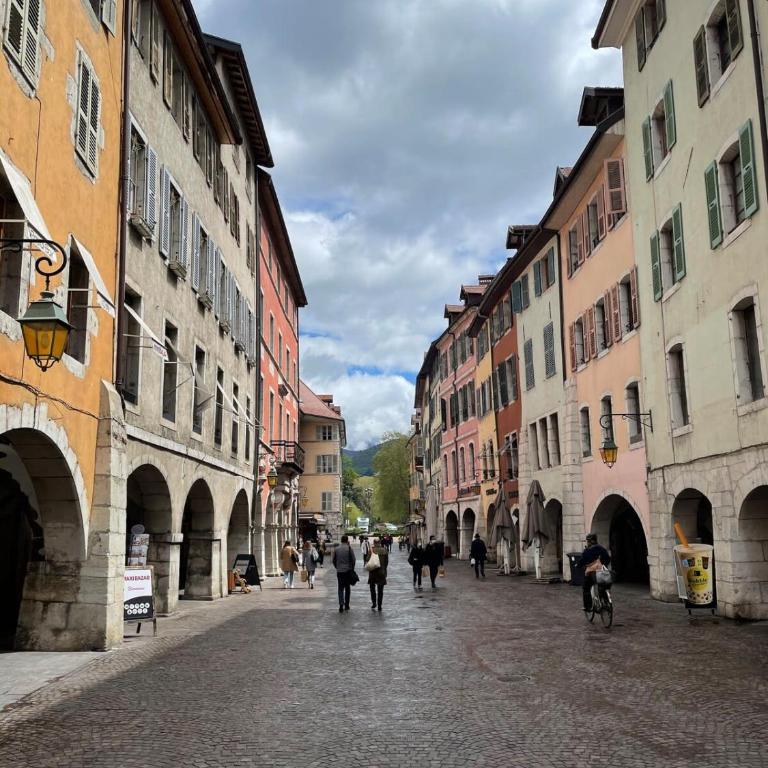 Petit cocon au cœur d'Annecy - Appartamento - 17