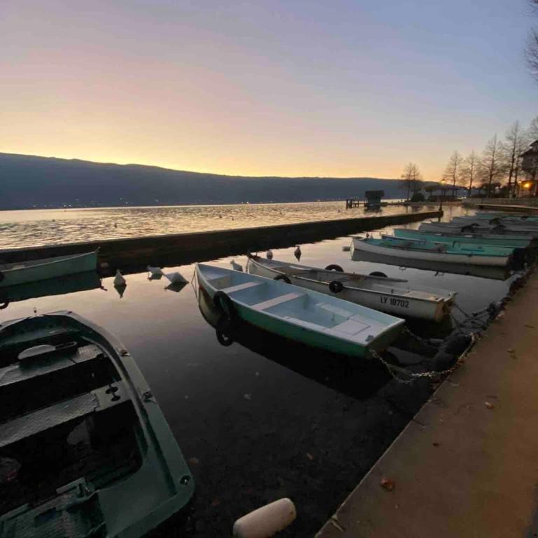 Petit cocon au cœur d'Annecy - Appartamento - 20