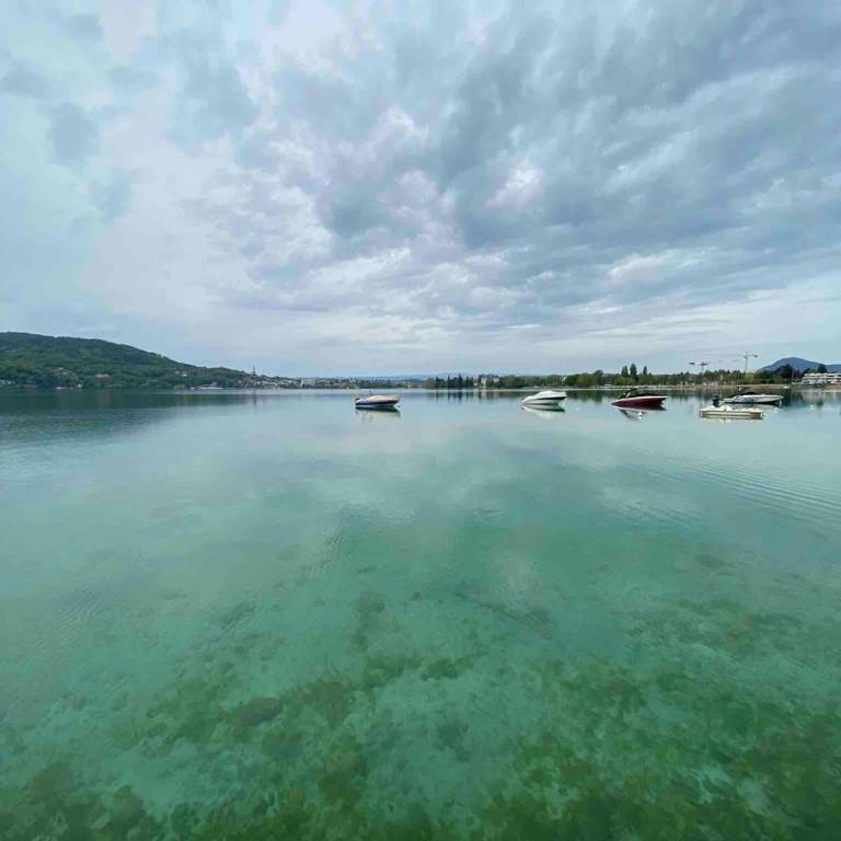 Petit cocon au cœur d'Annecy - Appartamento - 22