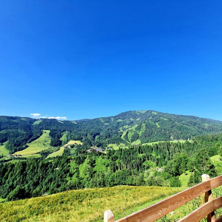 Gut Stein Panoramalodge - Apartment - 41