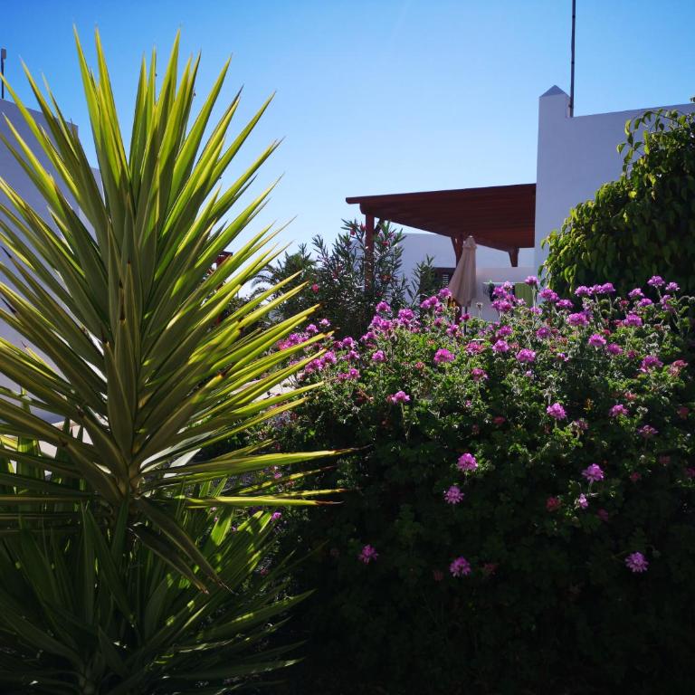 Bungalow tranquillo e soleggiato - One-Bedroom House - 2