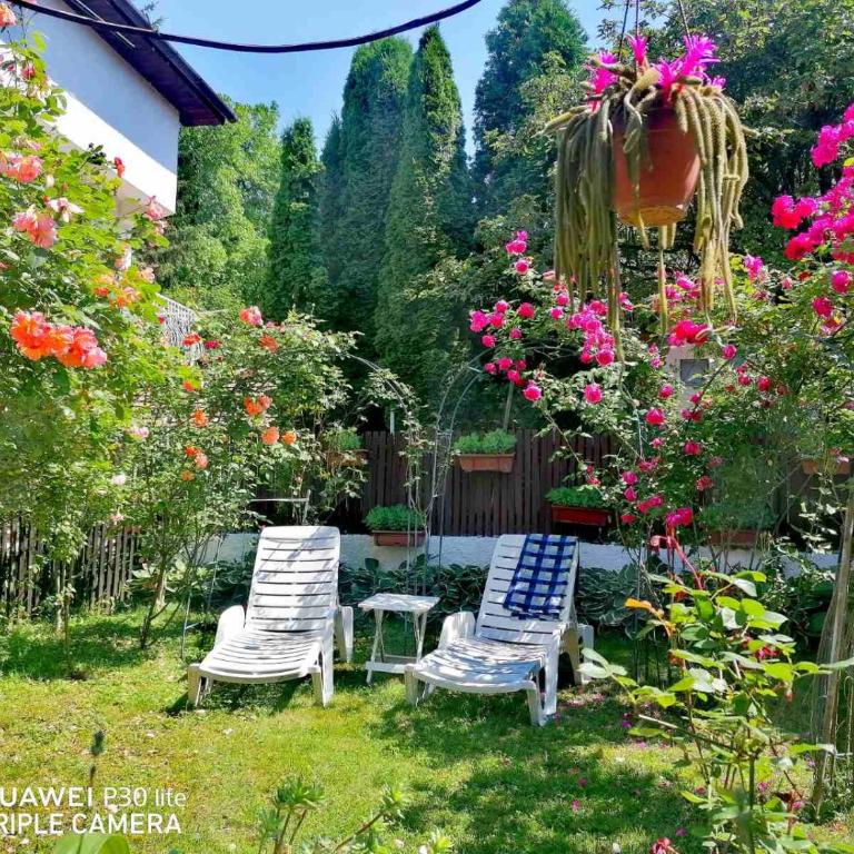 Modern&Cozy Bosnian house with GARDEN+FREE parking - Porodični Apartman Tipa "Suite" - 44