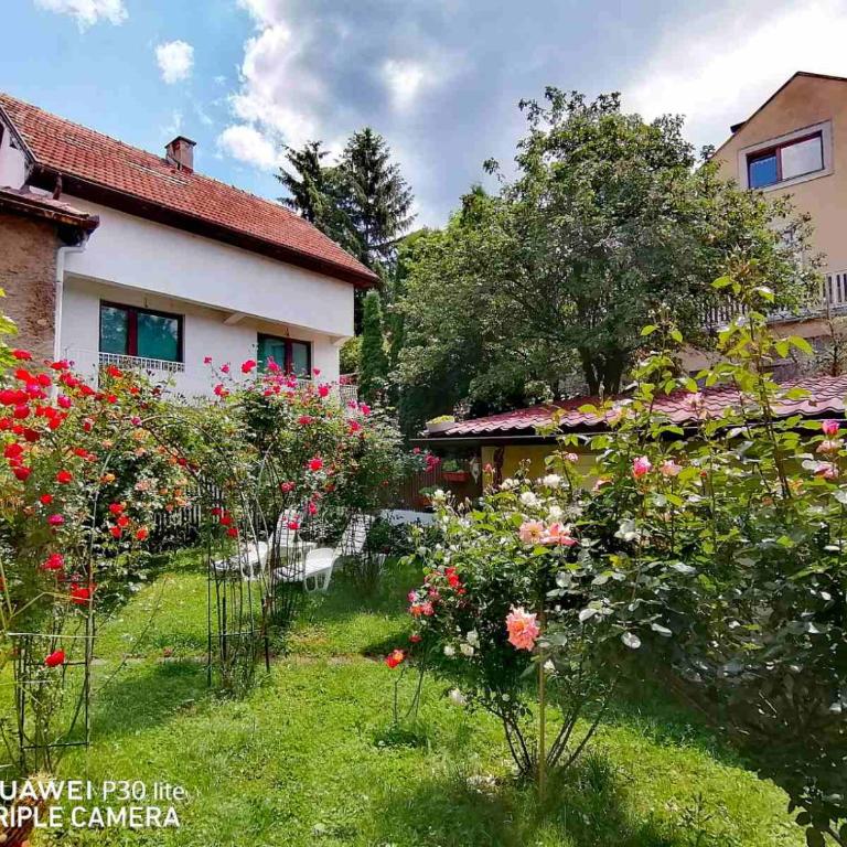 Modern&Cozy Bosnian house with GARDEN+FREE parking - Porodični Apartman Tipa "Suite" - 45