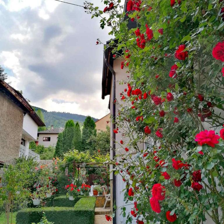 Modern&Cozy Bosnian house with GARDEN+FREE parking - Porodični Apartman Tipa "Suite" - 46