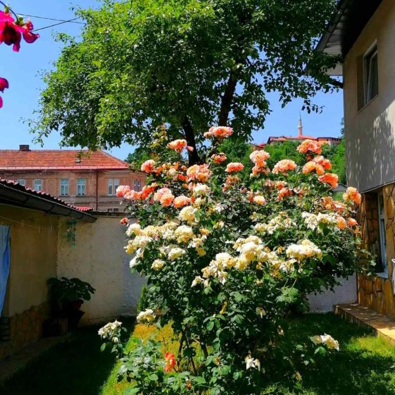 Modern&Cozy Bosnian house with GARDEN+FREE parking - Porodični Apartman Tipa "Suite" - 47