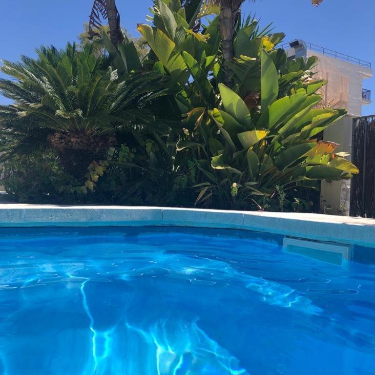 Cozy Loft Torremolinos - Loft - 4