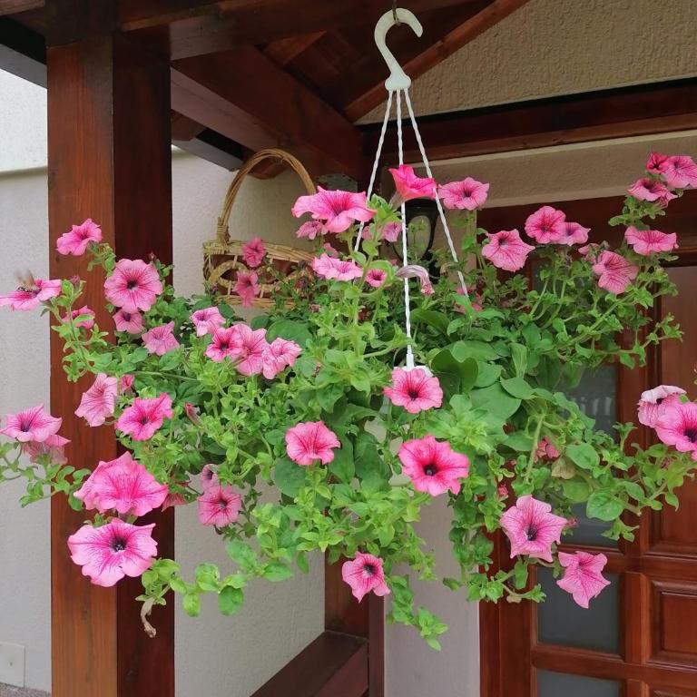 Apartment Old Town - Apartman - 51