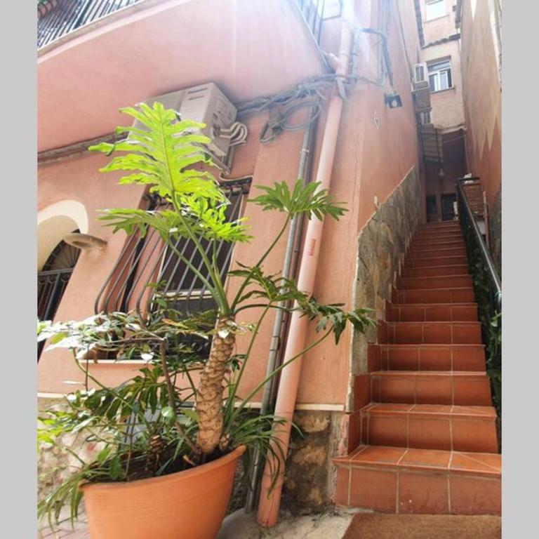 LUNA & MARTE, TAORMINA CENTER - (CASA VACANZA) - Appartamento con 1 Camera da Letto - 11