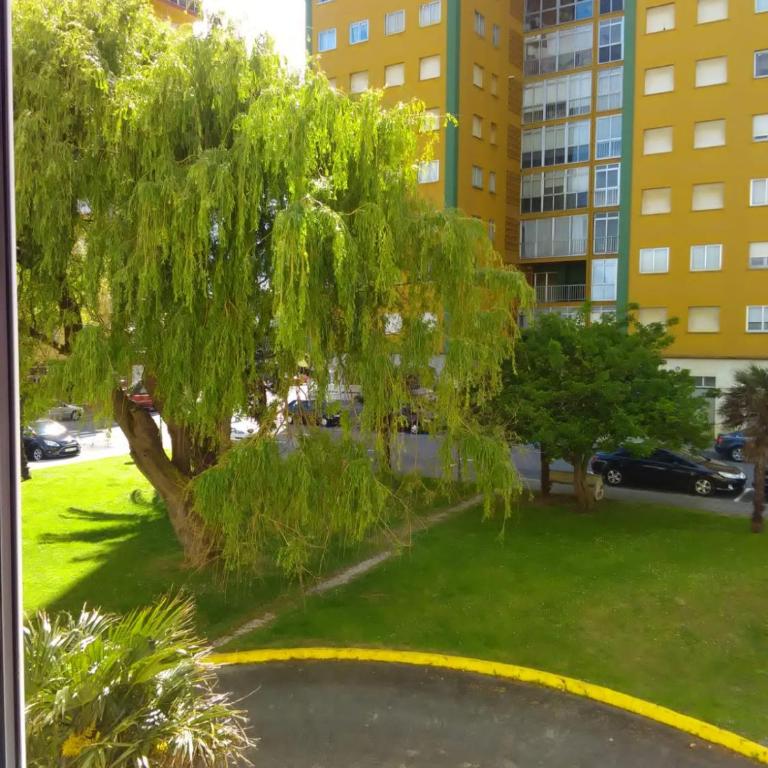 APARTAMENTOS RAMÓN - Apartamento de 2 dormitorios - 2