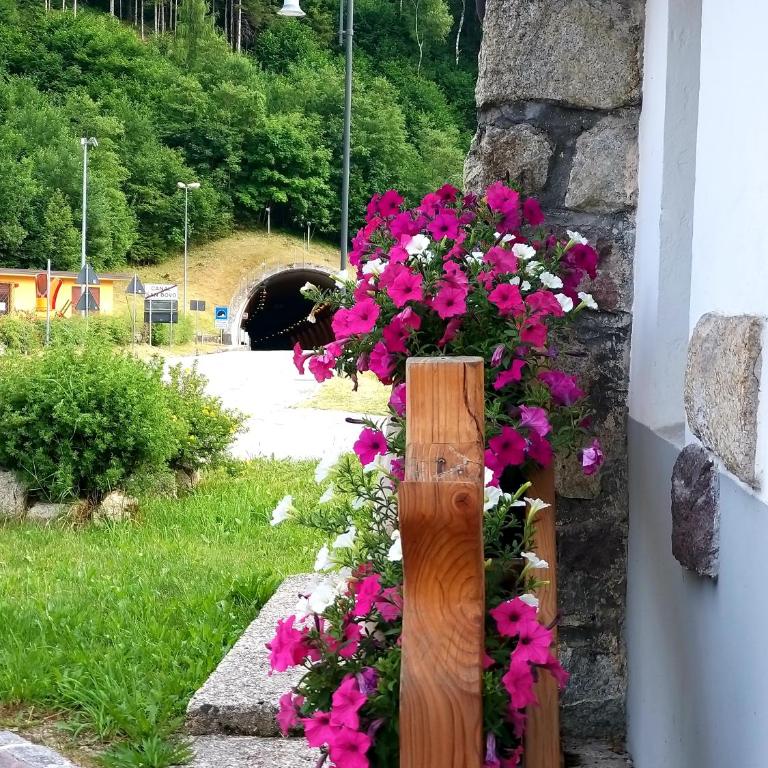 Casa Lausen - Appartamento - 55