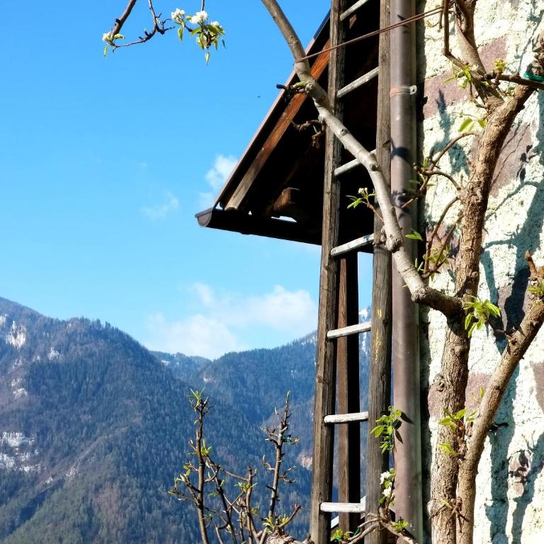 Casa Lausen - Appartamento - 60