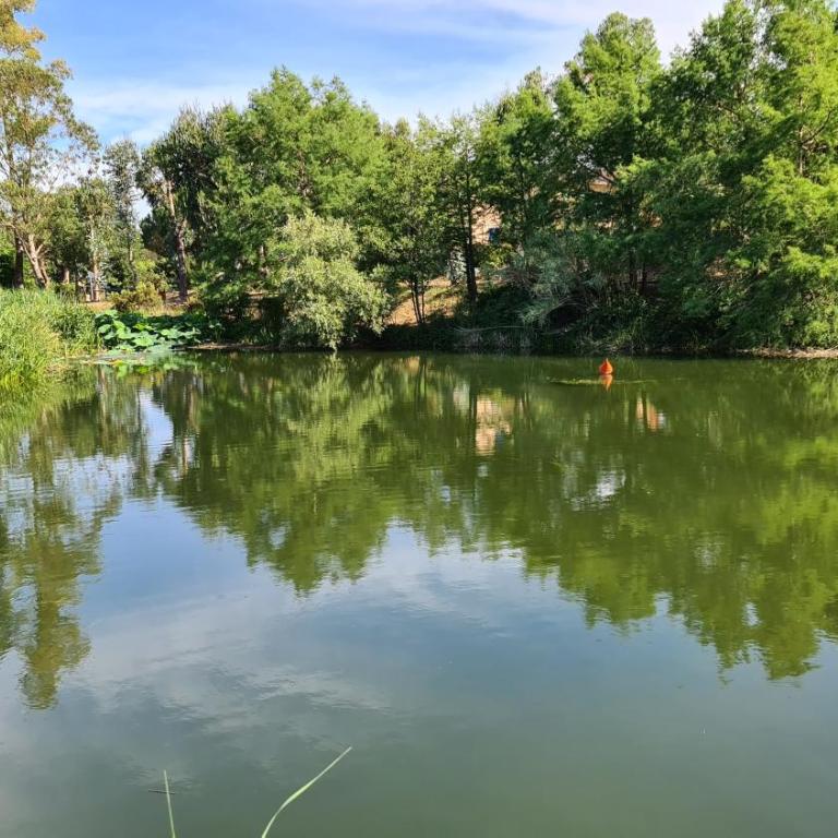 Les restanques du Golfe de SAINT TROPEZ, - Appartamento con 1 Camera da Letto - 22