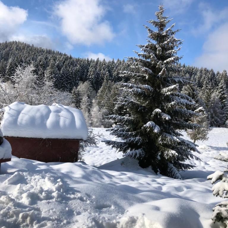 gite moya - Chalet - 48