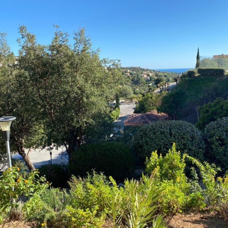 APPARTEMENT CLIMATISÉ AVEC TERRASSE ET APERÇU MER - Golfe de Saint-Tropez - Appartement 1 Chambre - 19