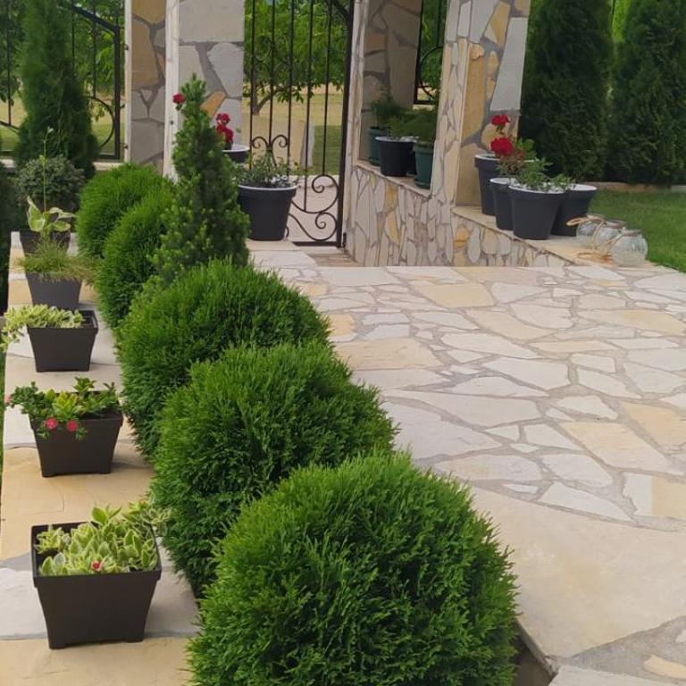 Apartmani Djokić sa bazenom - Apartman sa 1 Spavaćom Sobom - 5