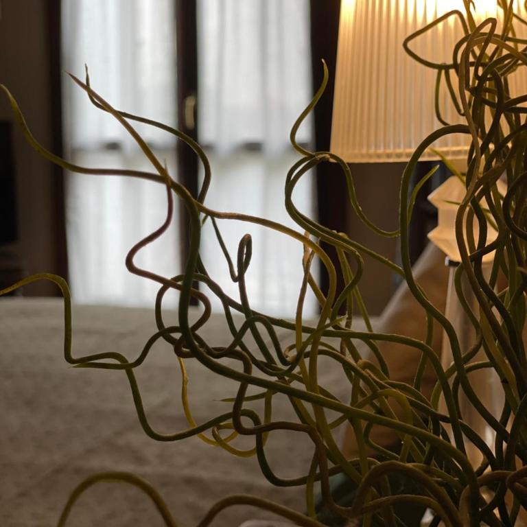Casa Vetriera - Appartamento con 1 Camera da Letto - 12