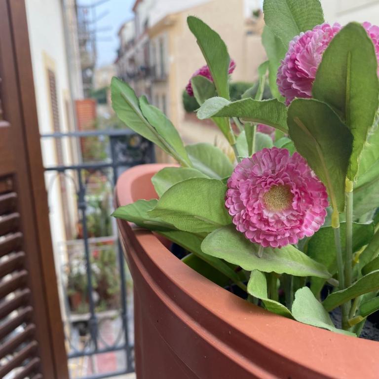 Casa Vetriera - Appartamento con 1 Camera da Letto - 9