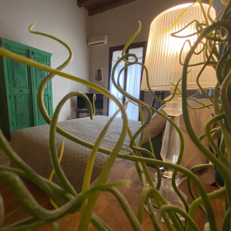 Casa Vetriera - Appartamento con 1 Camera da Letto - 19
