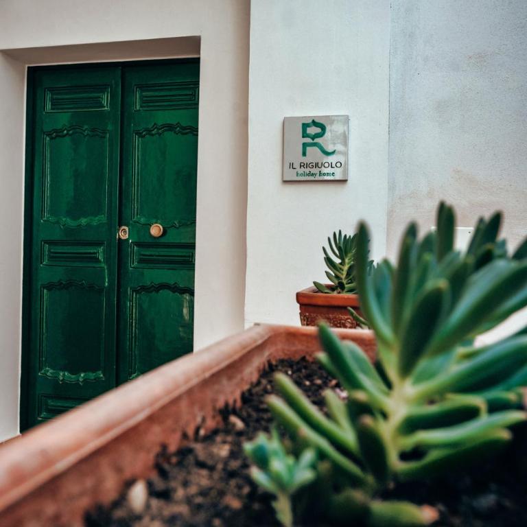 Il Rigiuolo - Holiday Home - Appartamento - 38