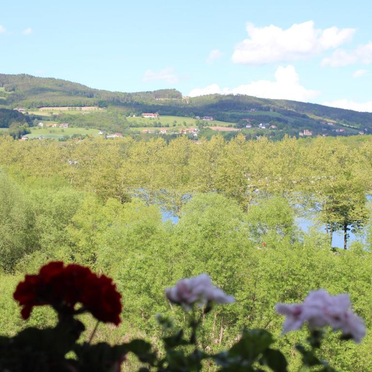 Pension Waldhof am Stubenbergsee - Budget Doppelzimmer - 12