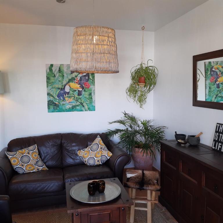 Casa Para Ti - Botanica - One-Bedroom Apartment - 1