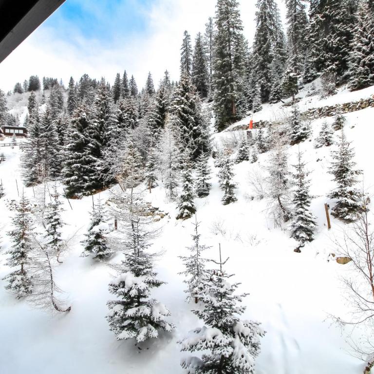 2 Bed Ski in and Ski out Luxury Apt in 5 star Residence - Appartement 2 Chambres - 22