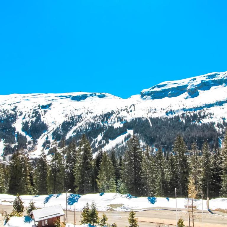 Private penthouse 2-bed Apartment, ski in and out in 5* Flaine Residence - Appartement 2 Chambres - 34