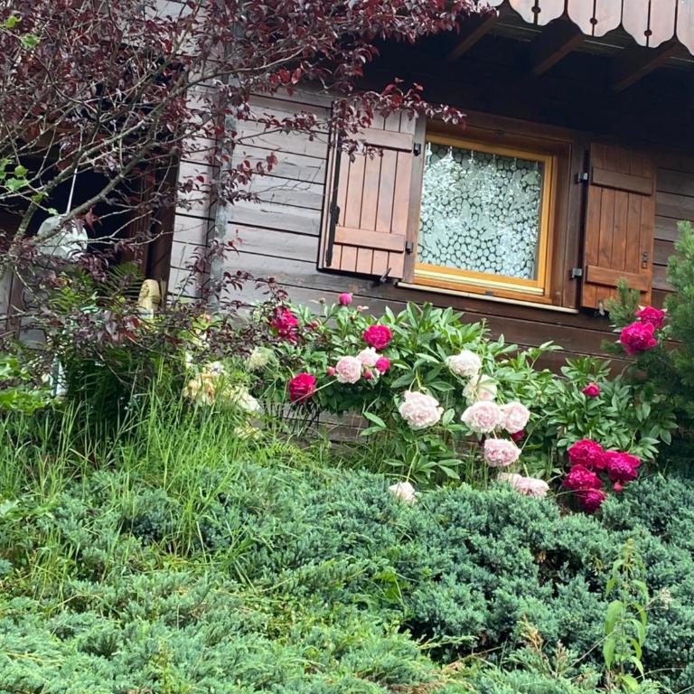 gite moya - Chalet - 41