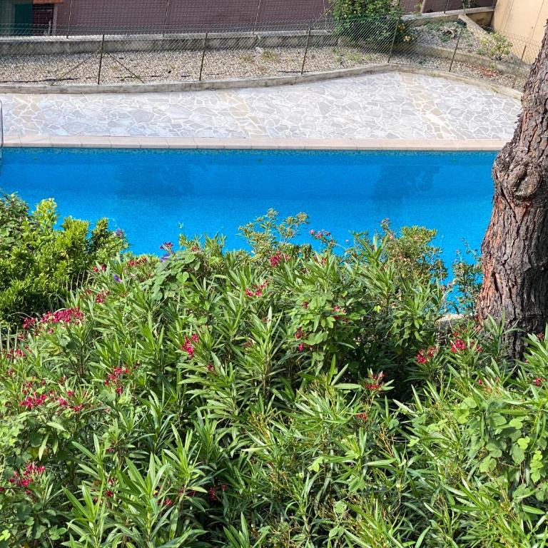 Mansfield vue carte Postale Terrasse Piscine calme port à 200m à pied - Apartamento de 2 dormitorios - 11