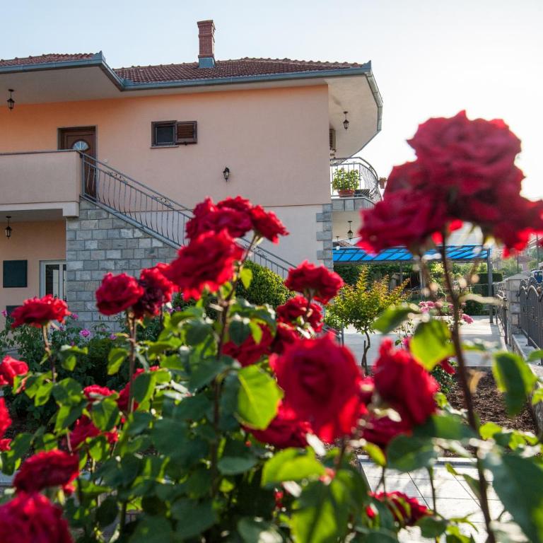 Apartman Sofija - Apartman sa 2 Spavaće Sobe - 1
