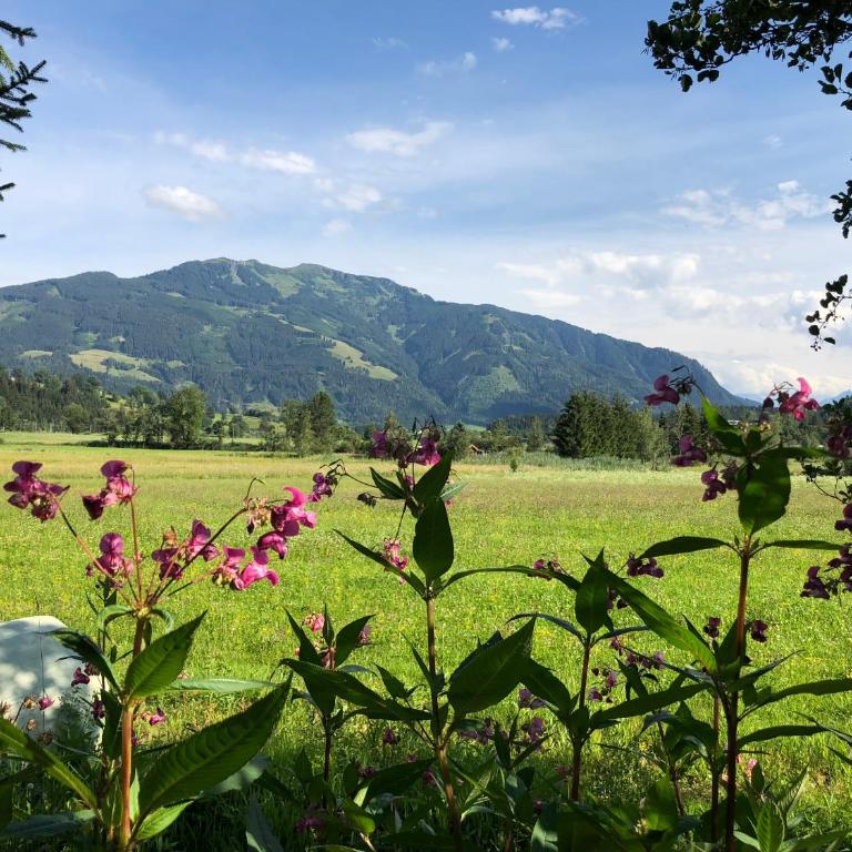 Pension Erlhof - Apartment mit 2 Schlafzimmern und Balkon - 10