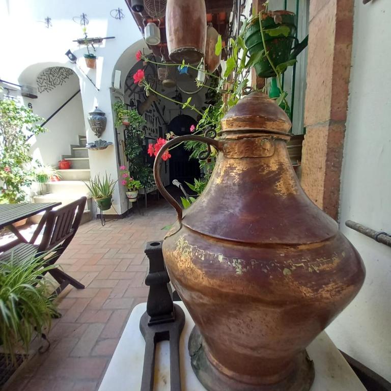 Casa Museo Jerez Centro - Apartamento de 1 dormitorio - 91