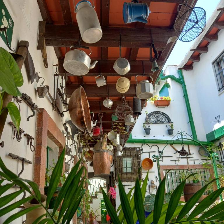 Casa Museo Jerez Centro - Apartamento de 1 dormitorio - 94