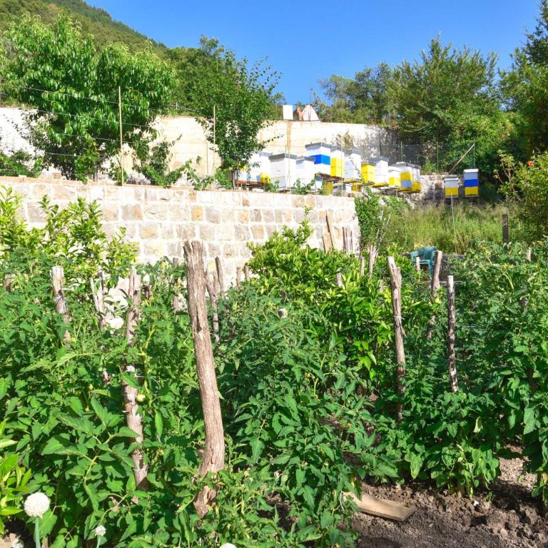 Verbalj apartment with swimming pool - Apartman sa 1 Spavaćom Sobom - 49