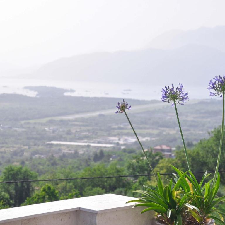 Verbalj apartment with swimming pool - Apartman sa 1 Spavaćom Sobom - 59