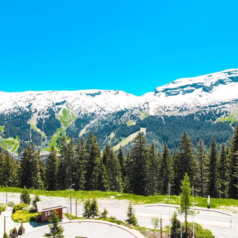 Beautiful one-bedroom apartment with fireplace and stunning views - Appartement avec Vue sur la Montagne - 59