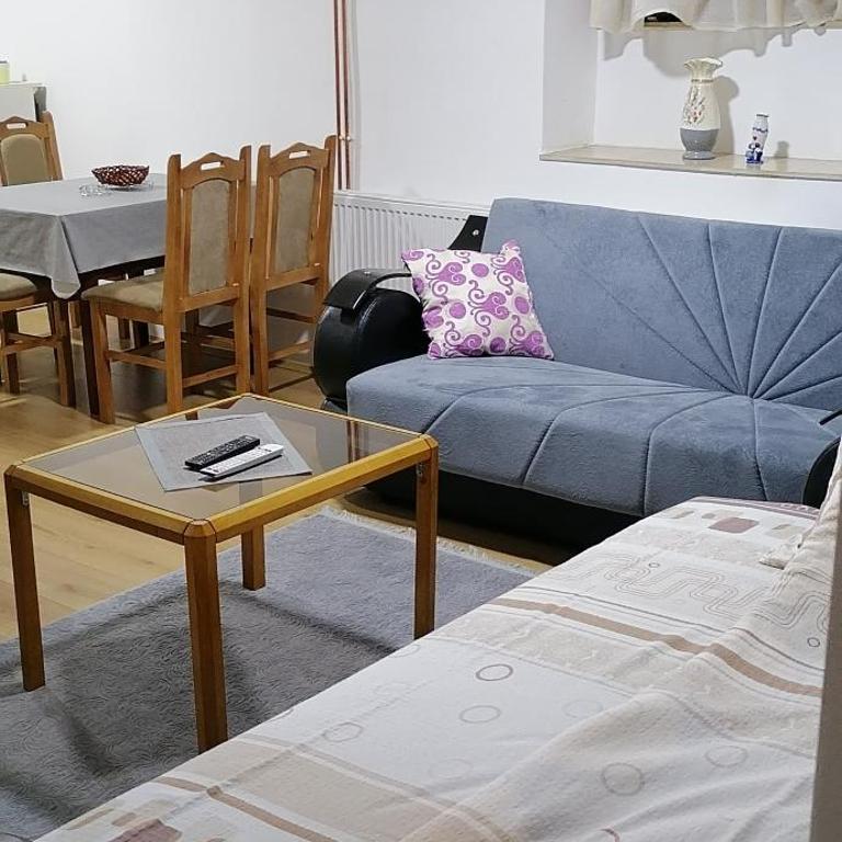 Apartman Popovic - Apartman sa 1 Spavaćom Sobom - 12
