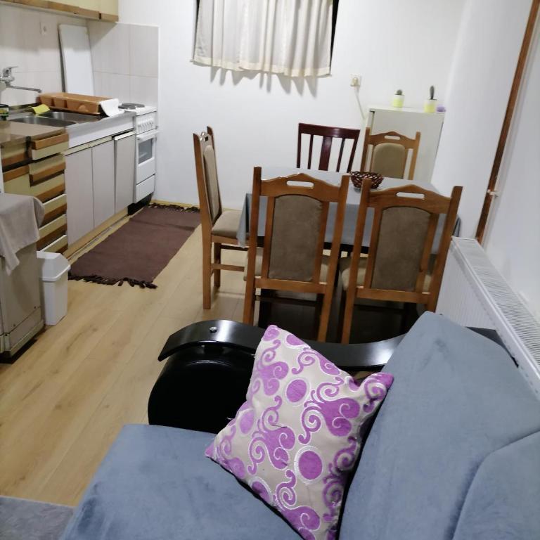 Apartman Popovic - Apartman sa 1 Spavaćom Sobom - 6