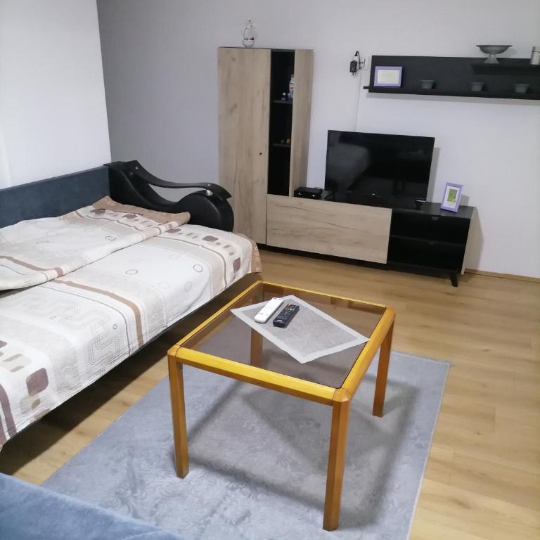 Apartman Popovic - Apartman sa 1 Spavaćom Sobom - 11