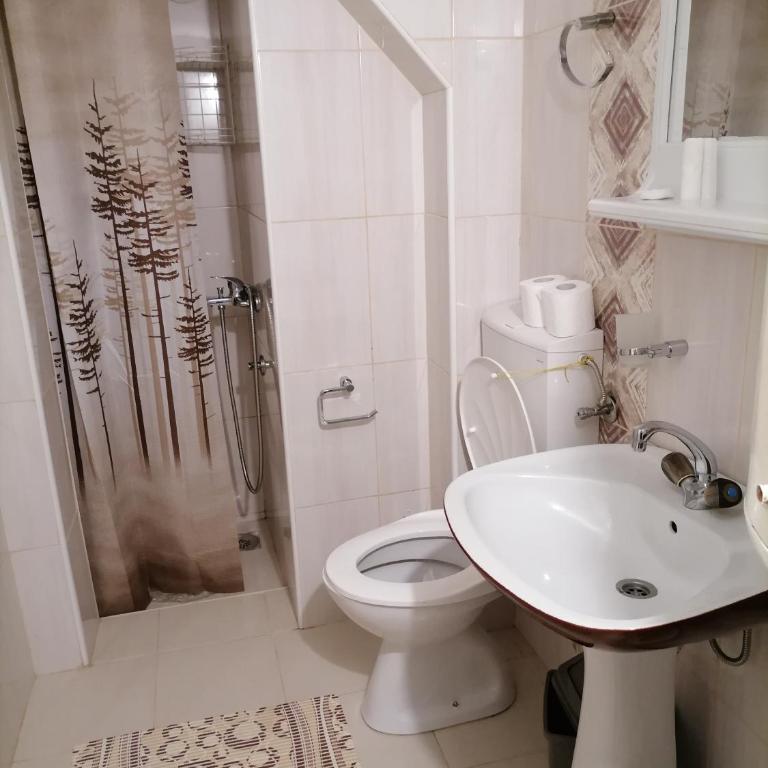 Apartman Popovic - Apartman sa 1 Spavaćom Sobom - 7