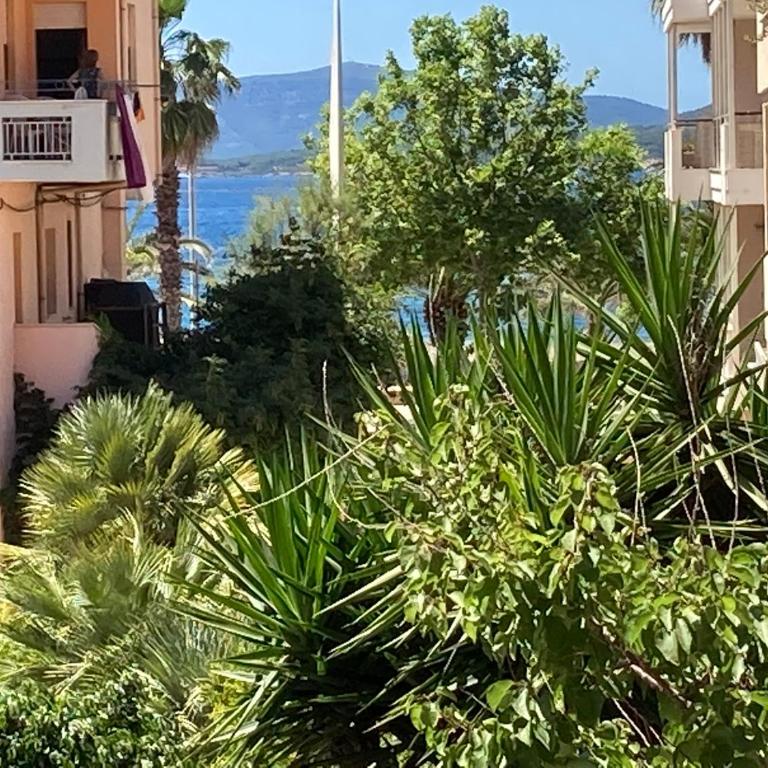 Appartamento Centro del Porto - Appartamento con 1 Camera da Letto - 13