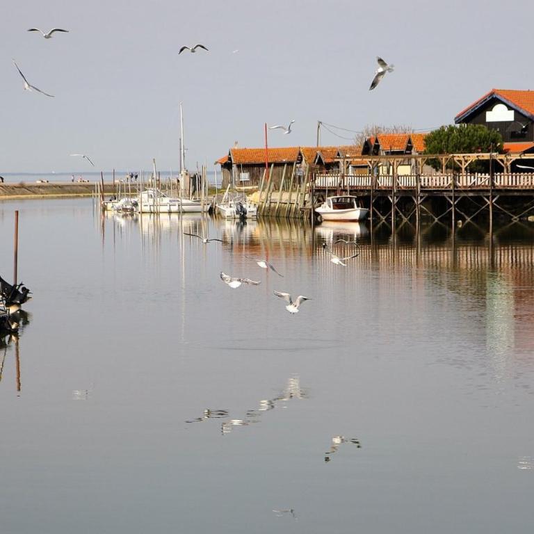 Villa Climatisée et Wifi Gujan à 5 mn du Bassin d'Arcachon - Maison de Vacances - 25