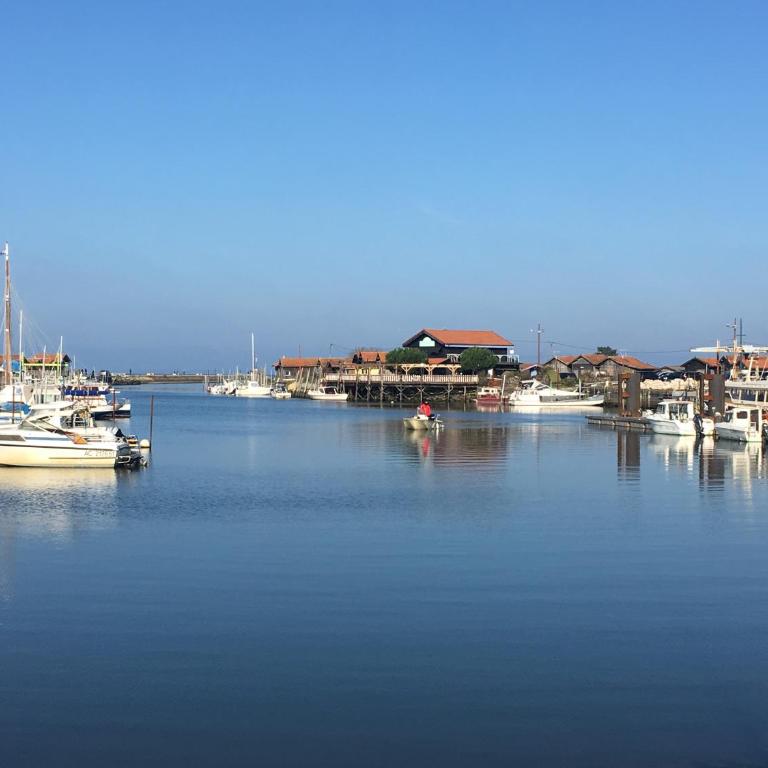 Villa Climatisée et Wifi Gujan à 5 mn du Bassin d'Arcachon - Maison de Vacances - 26
