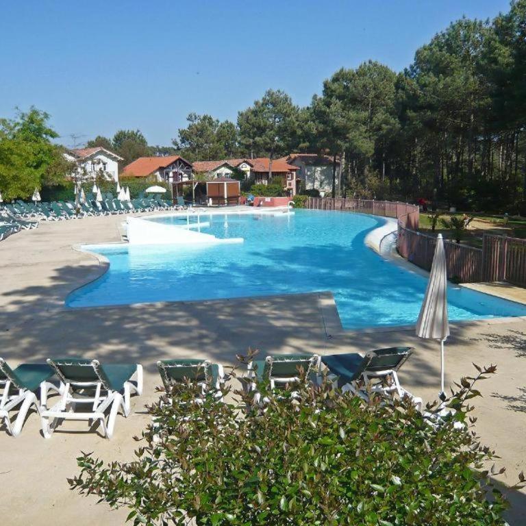 Maisonnette cosy avec Piscine golf et océan à vélo - Casa Vacanze - 15