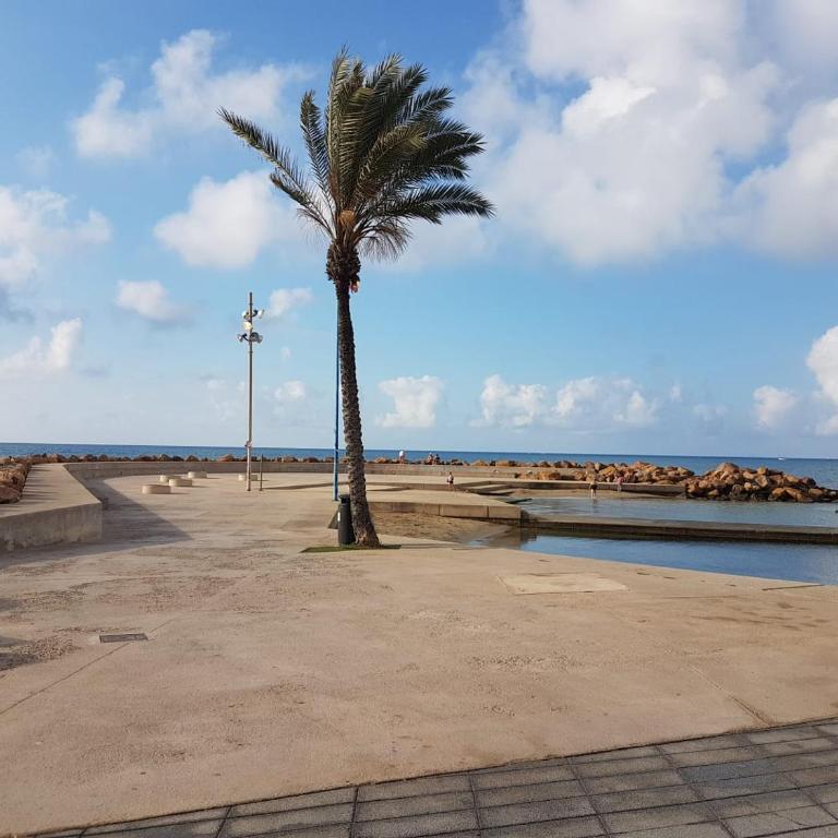 Apartamento con 2 stanze letto - Apartamento de 2 dormitorios - 7
