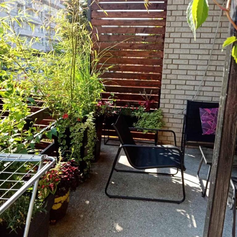 DUŠICA APARTMANI - Apartman sa 1 Spavaćom Sobom - 3