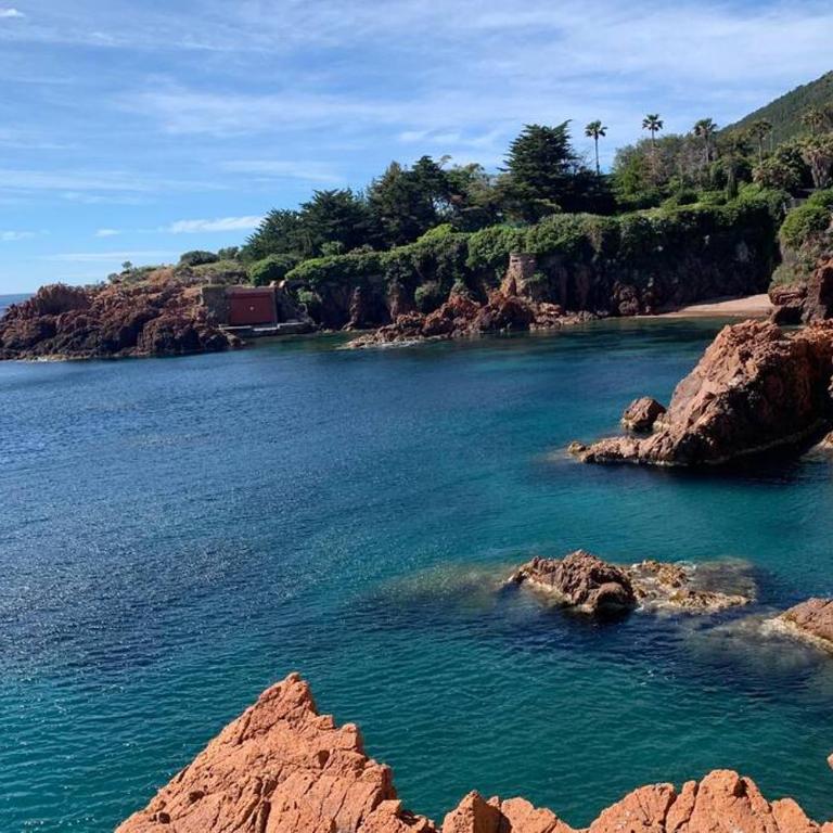 Cap Neree Petit coin de paradis pieds dans l eau - Appartamento con 1 Camera da Letto - 5