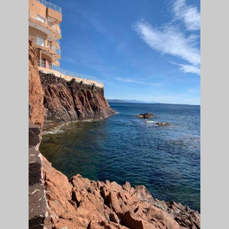 Cap Neree Petit coin de paradis pieds dans l eau - Appartamento con 1 Camera da Letto - 12