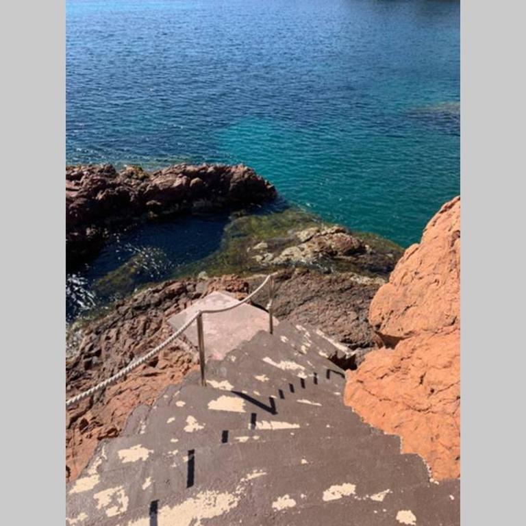Cap Neree Petit coin de paradis pieds dans l eau - Appartamento con 1 Camera da Letto - 15