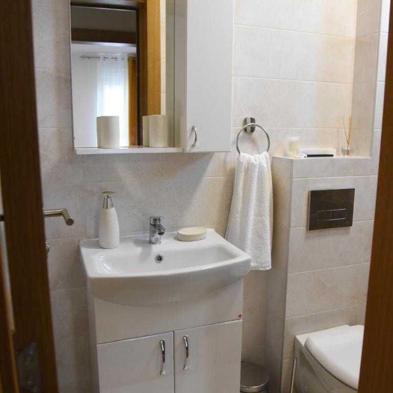 Millenium apartment - Apartman sa 1 Spavaćom Sobom - 9